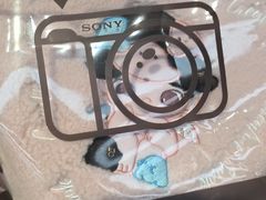 -Sony Store索尼(广州正佳店)