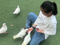 -成都欢乐谷