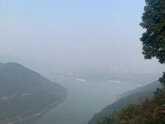 -铁山坪森林公园