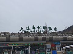 -大连森林动物园