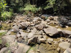 -广州白江湖森林公园