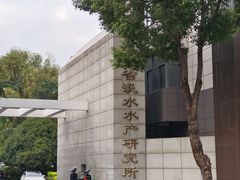 -南湖公园地摊集市