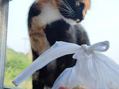-小赖鱼馆