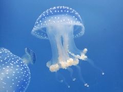 -常州海昌海洋探索馆
