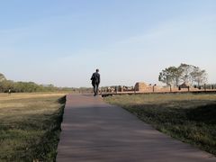 -盘龙城国家考古遗址公园