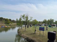 -南湖湿地公园