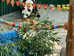 -沈阳森林动物园