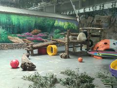 -青藏高原野生动物园