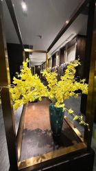 -盘子女人坊生日照·摄影馆(浦东店)