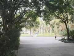 -深圳国际园林花卉博览园