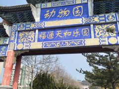 -西霞口神雕山野生动物世界