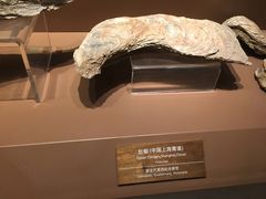 -1868 Café(上海自然博物馆店)