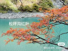 -叠溪松坪沟景区