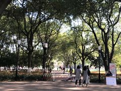 -中央公园(苏州工业园区)
