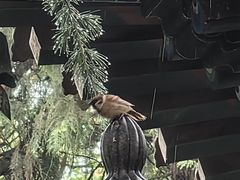-兴教寺