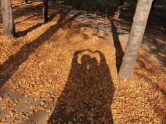 -森林公园(尖草坪区)