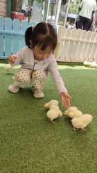 -萌宠亲子动物乐园(槐房万达店)