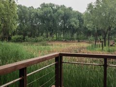 -东郊湿地公园