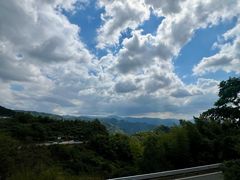 -四明山国家森林公园
