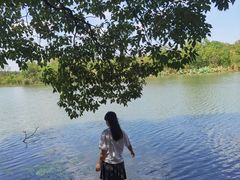 -东湖落雁景区