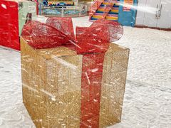 -巨鹏飞梦幻海岸