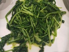 -饭怕鱼(阳光100店)
