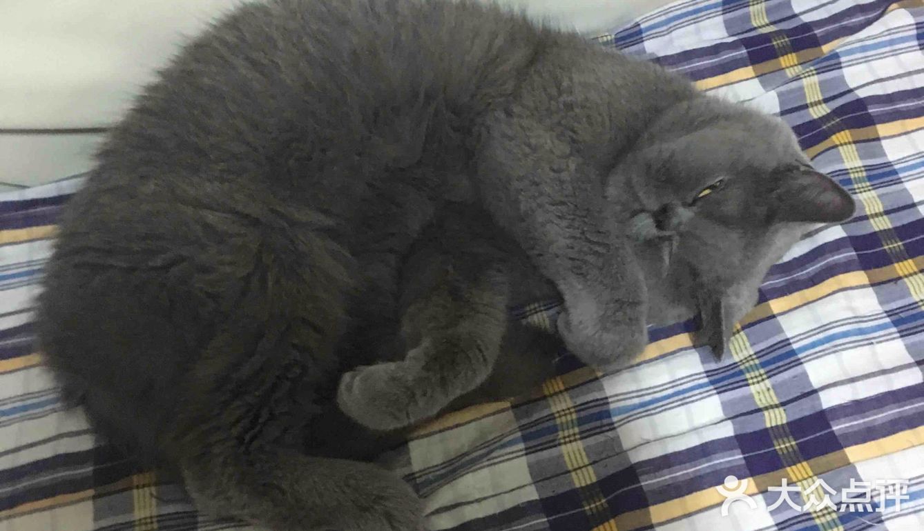 对不起的淘小桃🍑为什么不能珍惜过去的好时光？