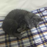 对不起的淘小桃🍑为什么不能珍惜过去的好时光？