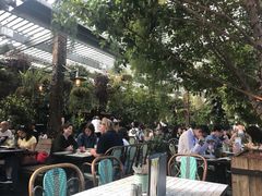 -The Grounds of Alexandria