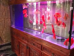 -翠清酒家(万丰路店)