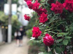 -甜阿姨·天台花园私房菜(万松园店)