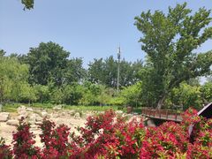 -莲花池公园
