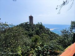 -缙云山景区