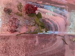 -万达广场(太原街店)