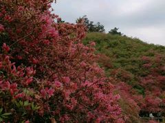 -木兰云雾山