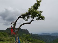 -秦岭风景区