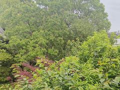 -苏城小院·园林精致苏州菜(斜塘老街店)