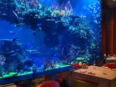 -迪拜帆船酒店海底餐厅