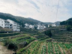 -泽雅七瀑涧景区