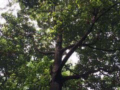 -成都市活水公园