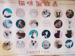 -猫小院猫主题餐厅(南锣旗舰店)