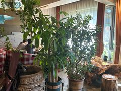 -慢丽江·云南野生菌土鸡锅(付家庄店)