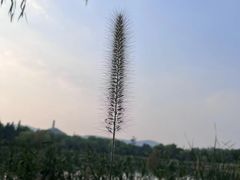 -北坞公园