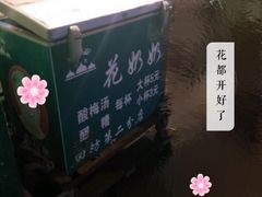 -花奶奶酸梅汤·晨晨的店(大皮院西口店)