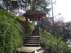 -重庆平顶山公园