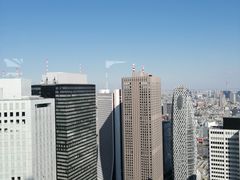 -东京都厅舍