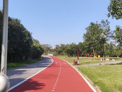 -瑶湖郊野森林公园