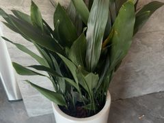 -江南宴•沿江菜江南味(七街店)
