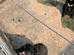 -无锡动物园·太湖欢乐园