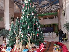 -成都世纪城假日酒店-西楼